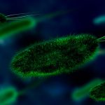 Ozolife Softgels®, nueva alternativa en el tratamiento del Helicobacter pylori
